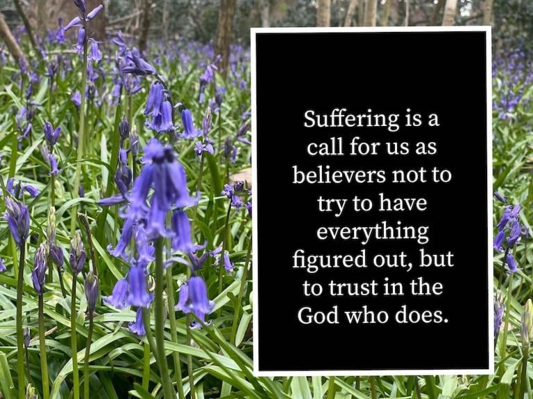 bluebells with the phrase Suffering is a call for us as believers not to try to have everything figured out, but to trust in the God who does